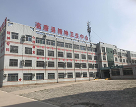 智慧医院管理系统案例-高唐康恒精神病医院